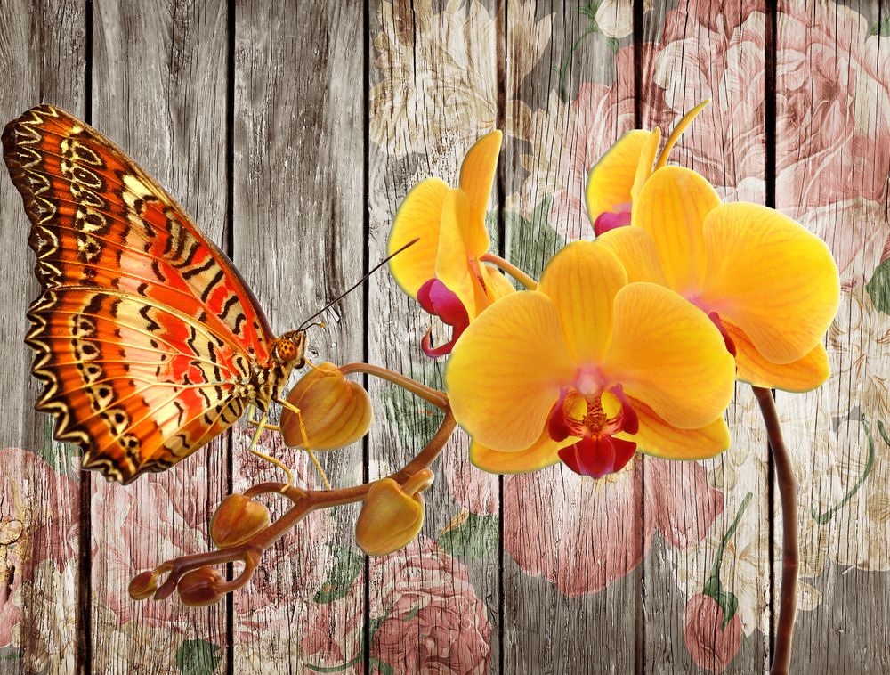 Бабочки цветы1844