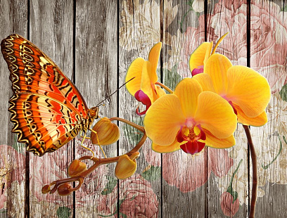 Бабочки цветы1844