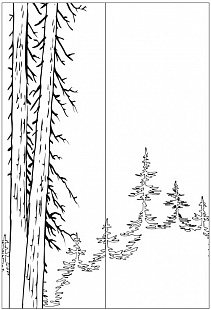 Рисунок-4886
