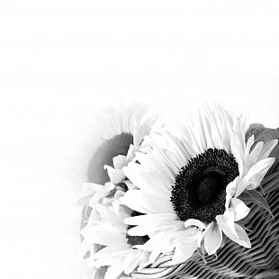 Рисунок-2057
