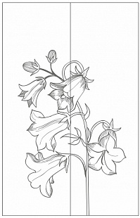 Рисунок-11429